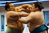 Serious Sumo