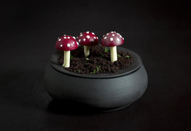 Jaffa Cake toadstools