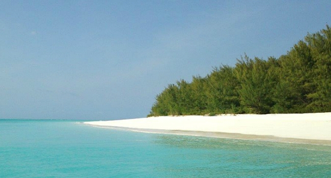 Luxury Travel in Mnemba Island