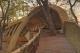 sandibe okavango safari lodge2